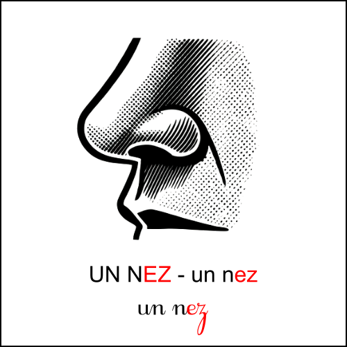 Graphie ez